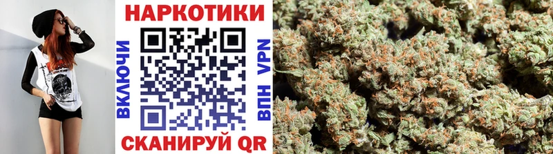 Виды наркоты Торопец COCAIN  блэк спрут онион  ГАШ 