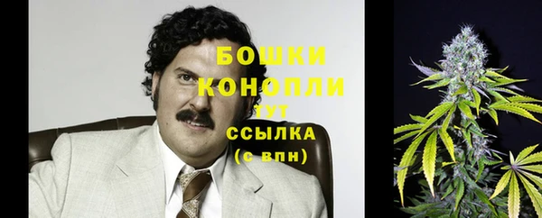 стафф Магадан