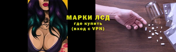 стафф Магадан