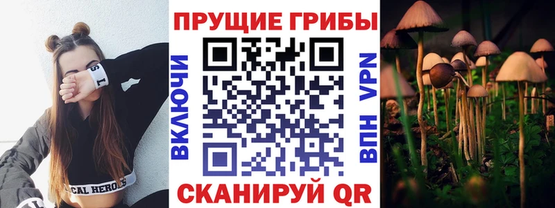 Галлюциногенные грибы MAGIC MUSHROOMS  OMG ТОР  Торопец 